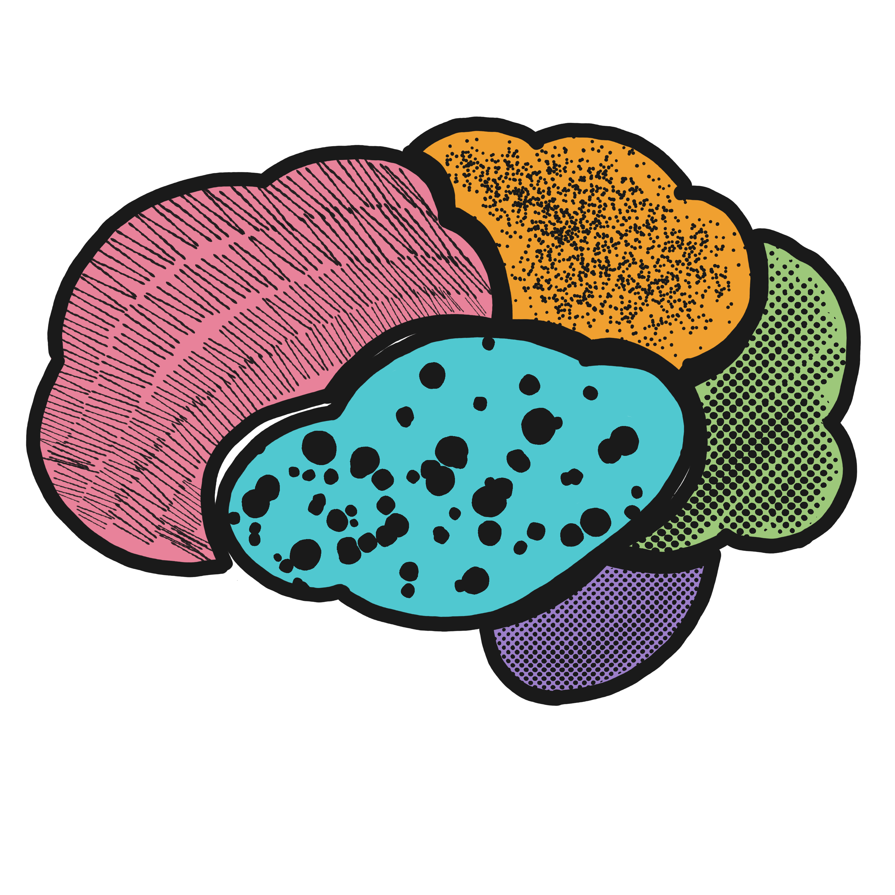 Brain illustration