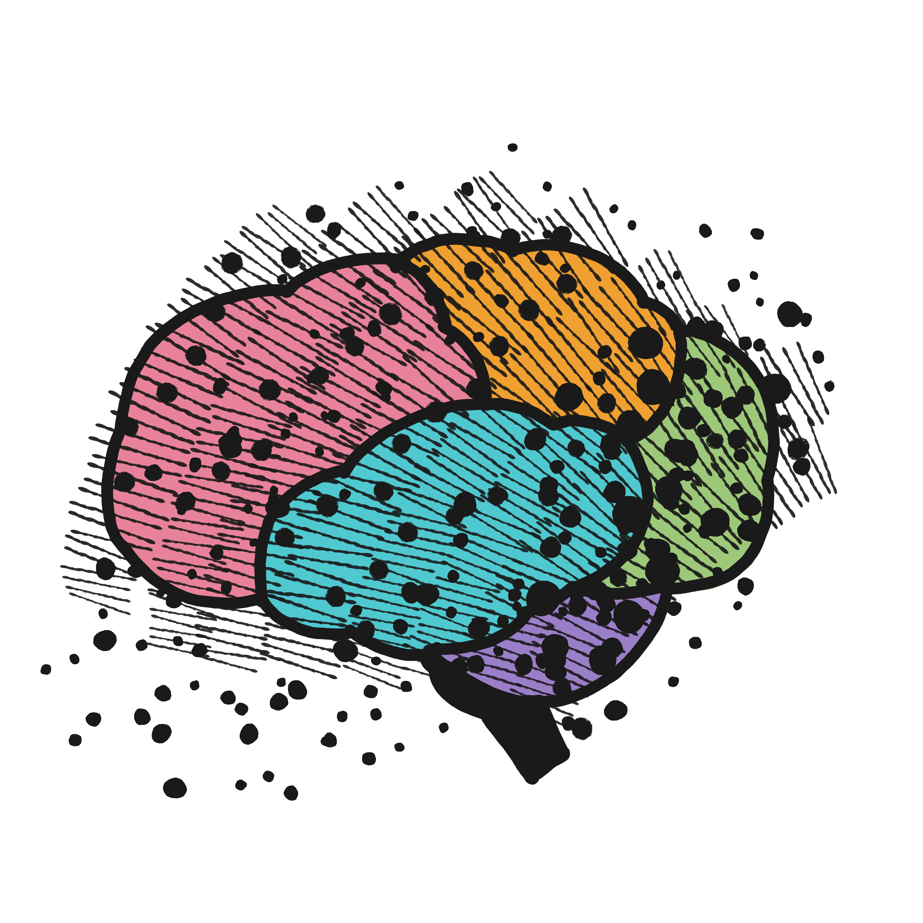 Brain illustration